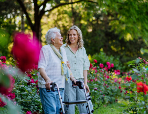 Senior Care Options: 3 Types of Services Explained